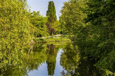 Eure River stock image. Image of forest, light, relax - 174786799