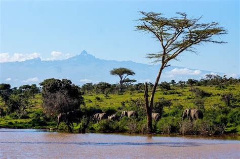 Nanyuki - The Safari Paradise | AirKenya