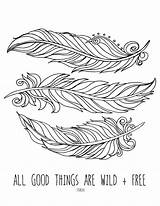 Bird Feather Coloring Pages At GetColoringscom  Free Printable sketch template