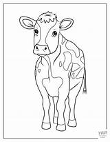 Baby Farm Cow Animal Coloring Page Pages sketch template