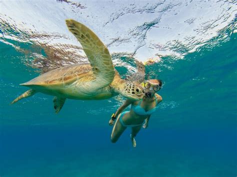 The Best Snorkeling in Antigua - 11 Amazing Spots