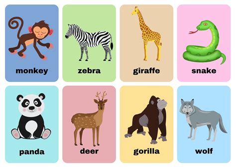 Printable Flashcard With Wild Animals Animal Flashcards Flashcards Vrogue | Images and Photos finder