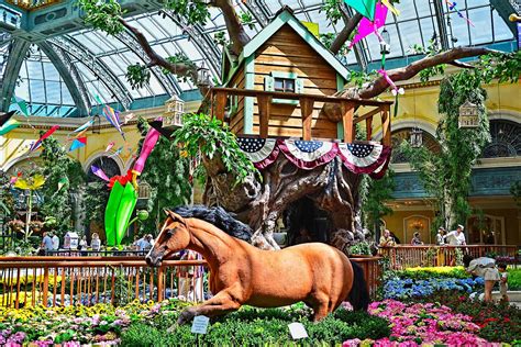 Bellagio Conservatory & Botanical Garden | Plantly