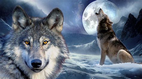 Love Wolf Wallpapers - Top Free Love Wolf Backgrounds - WallpaperAccess