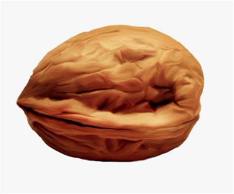 Walnut Clipart & Walnut Clip Art Images - HDClipartAll