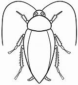 Cockroach 2 Coloring Page  Free Printable Pages For Kids sketch template