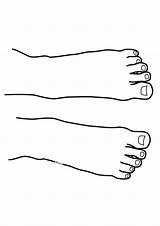 Hand And Feet Coloring Sheet Templates My Body Primary sketch template