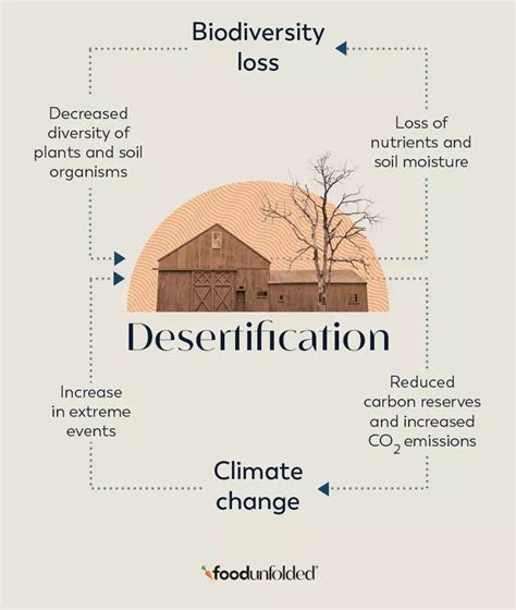 Desertification: The Vicious Cycle Between Land Degradation and Climate ...