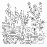 Aquatic Plants Coloring Pages sketch template