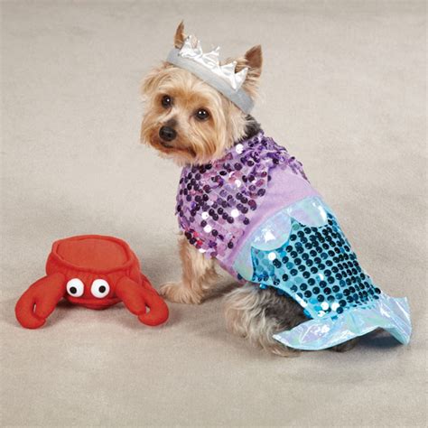 Glim-Mermaid Halloween Dog Costume | BaxterBoo