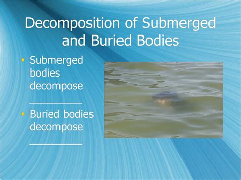 PPT - Body Tissues and Decomposition PowerPoint Presentation, free ...