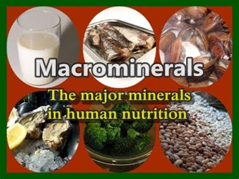 Macrominerals: The Seven Major Minerals of Human Nutrition - YouTube