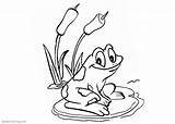 Pond Coloring Pages Sketch Printable Kids Template Adults  sketch template