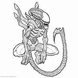 Alien Vs Predator Coloring Pages sketch template