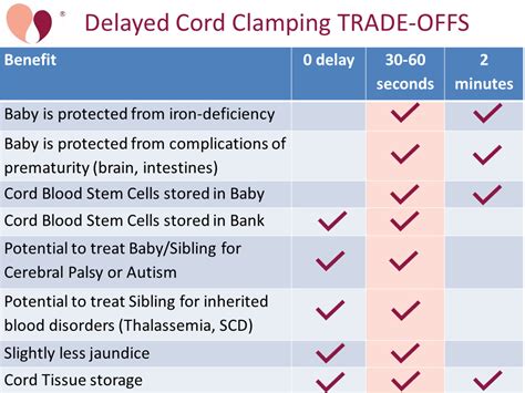 What is Delayed Cord Clamping