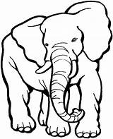 Free Elephant Coloring Pages sketch template