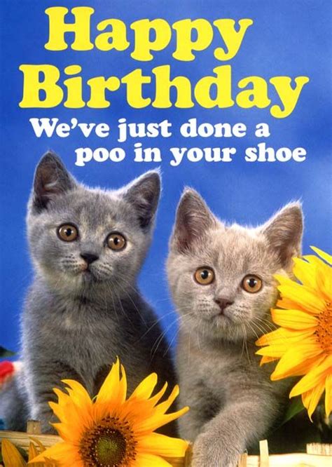 Funny birthday card by Dean Morris - Cat - Poo in your shoe | Comedy Card Company Cat Birthday ...