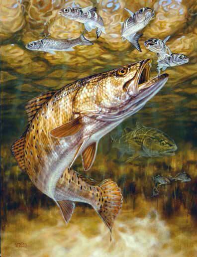 Speckled Trout Redfish Wallpaper