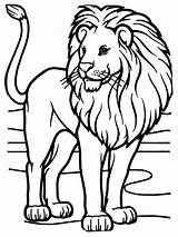 Lion Face Coloring Page For Kids Free Printable  Vrogueco sketch template