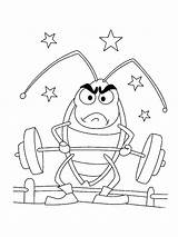 Cockroach Coloring Pages  SeaColoring sketch template