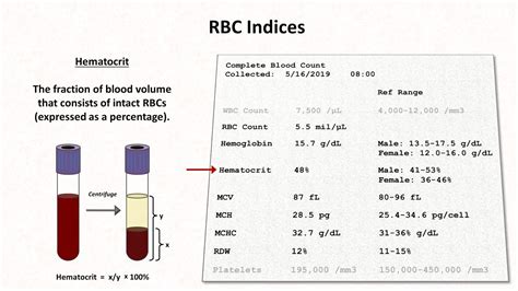 How to Interpret RBC Indices (e.g. hemoglobin vs. hematocrit, MCV, RDW ...