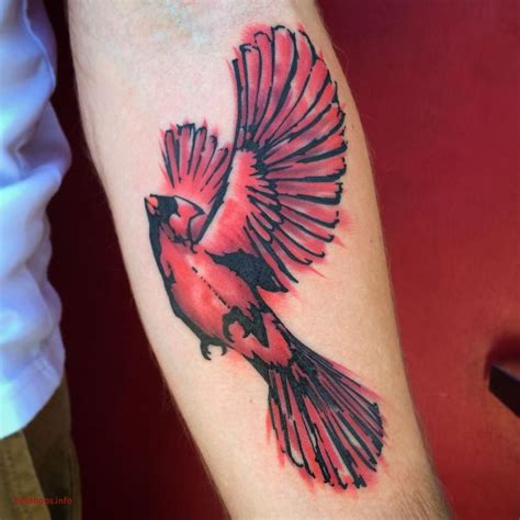 Pin by Taylor Young on tattoo ideas | Red bird tattoos, Feather tattoos, Cardinal tattoos