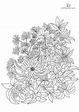Flower Coloring Pages For Adult FREE 2025  And Learn sketch template