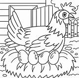 Chicken Coloring Pages sketch template