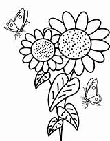 6 Beautiful Sunflower Coloring Pages For Girls  sketch template