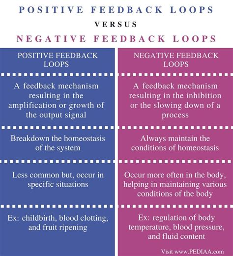 Difference Between Positive and Negative Feedback Loops in Biology - Pediaa.Com | Basic anatomy ...