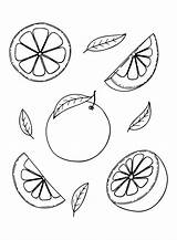 Picture Grapefruit Coloring Page For Kids And Adults  sketch template
