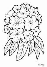 Rhododendron Coloring Pages Free Printable PDFs  WakeTheKids sketch template