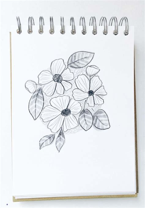 Pencil Shading Tips for Easily Sketching Flowers - Tombow USA Blog