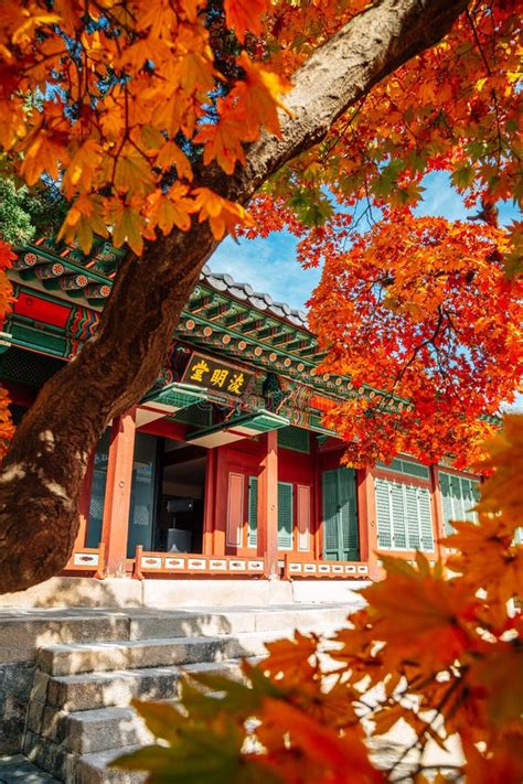 Deoksugung Palace at Autumn in Seoul, Korea Stock Photo - Image of ...