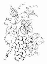 Más De 20 Páginas Para Colorear uvas PDF Imprimible Gratis Y  sketch template