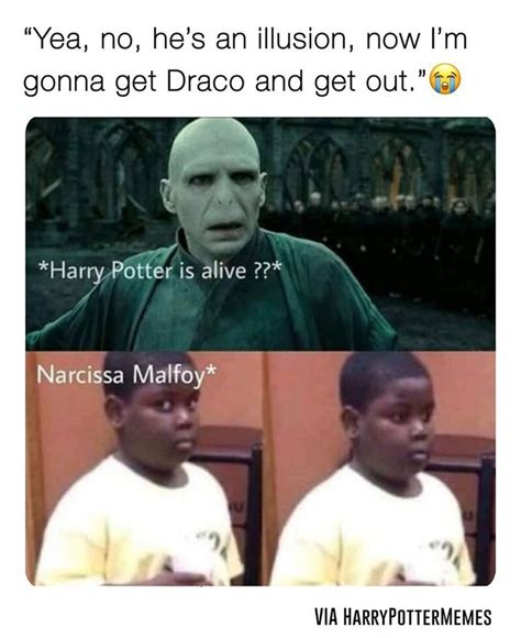 Harry Potter Memes For Fans Of The Books And The Movies in 2023 | Harry potter memes hilarious ...