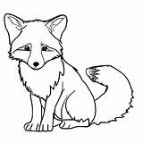 Fox Coloring Page · Creative Fabrica sketch template