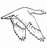 Goose coloring  Free Animal Pages Sheets sketch template
