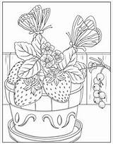 150 Dover coloring paes Ideas  Pages Books sketch template