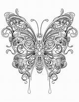 Bubakids Realistic Butterfly Coloring Page  BubaKidscom sketch template