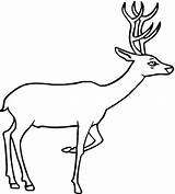 Free Printable Deer Coloring Pages For Kids sketch template