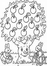 Free & Easy To Print Tree Coloring Pages  Tulamama sketch template