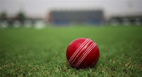 Pakistan players support use of Kookaburra balls in domestic cricket