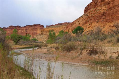 Muddy Creek Scenery 2 Photograph by Tonya Hance - Fine Art America