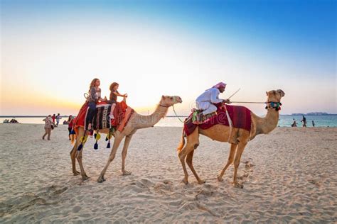 Camel Ride on the Beach at Dubai Marina Editorial Photography - Image ...