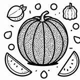 Cantaloupe Outline Coloring Page Pictures  Freepik sketch template