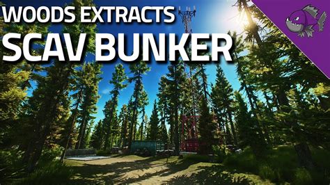 Scav Bunker - Woods Extract Guide - Escape From Tarkov - YouTube