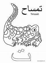 A Crafty Arab Arabic Alphabet coloring PagesTa Is For Timsaah sketch template