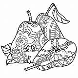 Sketchy Doodle Fruit Vector Stock Illustrations – 1748  sketch template