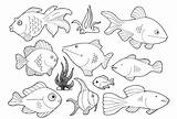 Coloring Pages Of Saltwater Fish  Printable Sheet Anbu sketch template